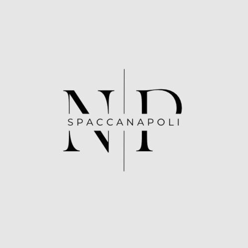 Np Spaccanapoli المظهر الخارجي الصورة